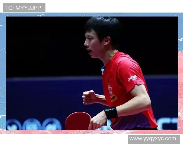 深圳篮球队逆袭之路揭秘从低谷到巅峰的奋斗与坚持